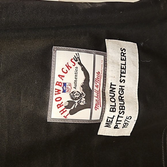 Blount Steelers Jersey - Picture 5 of 5